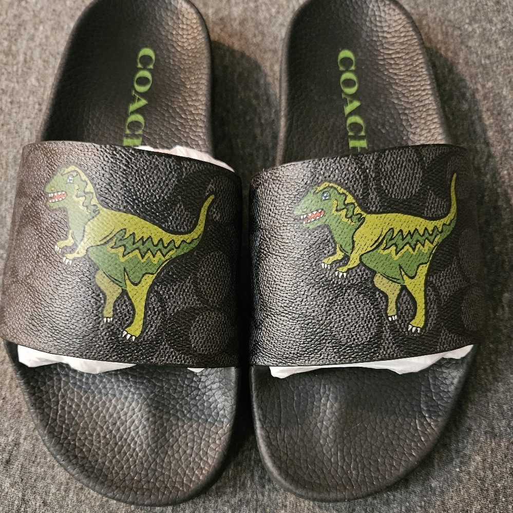 Coach rexy slides